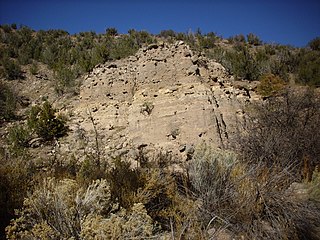 Puye Formation A geologic formation in New Mexico