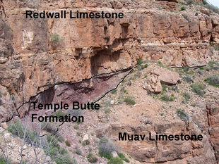 Redwall, Kuil Butte dan Muav formasi di Grand Canyon.jpg