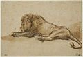 Recumbent Lion label QS:Len,"Recumbent Lion" label QS:Lnl,"Liggende leeuw" . circa 1650-1652. Pen and brown ink, brown wash, corrected with white, indented. 14 × 20.3 cm (5.5 × 7.9 in). Rotterdam, Museum Boijmans Van Beuningen.