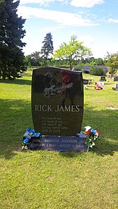 Rick James grave, Forest Lawn Cemetery, Buffalo New York