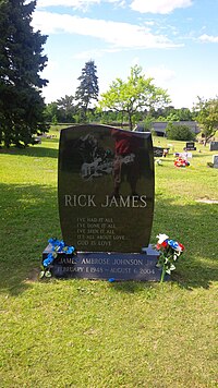 James' grave at Forest Lawn Cemetery, Buffalo, New York
