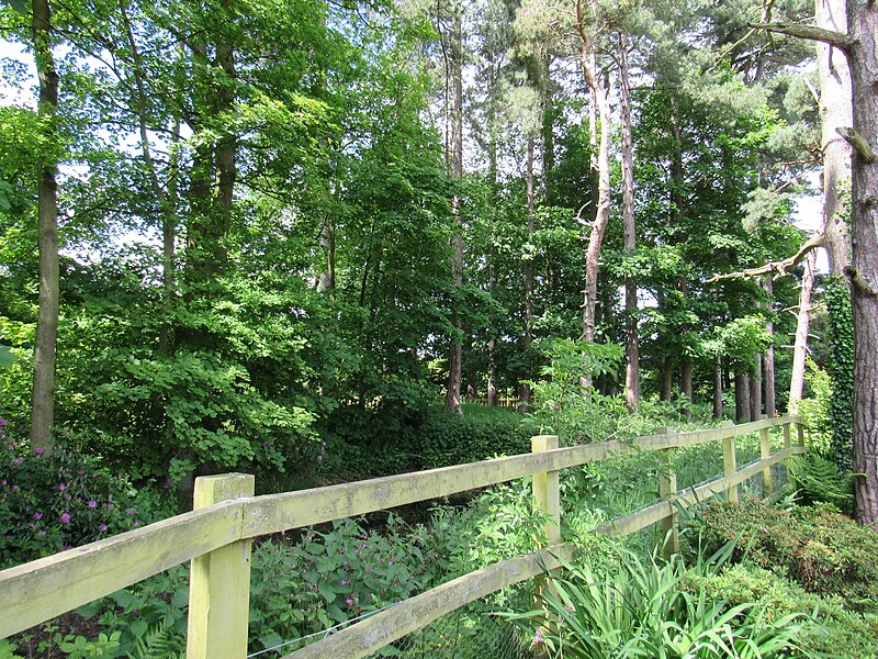 File:Rode Hall to the house - geograph.org.uk - 4512477.jpg