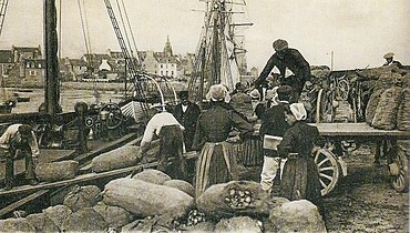 Embarque de cebollas en Roscoff con destino Gran Bretaña (alrededor de 1920).