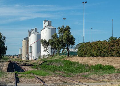 Roseworthy