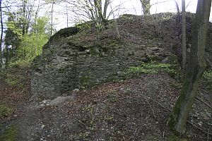 Borghausen Castle ruins