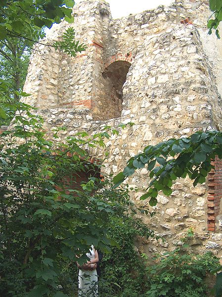 File:Ruine Hornstein 4.jpg