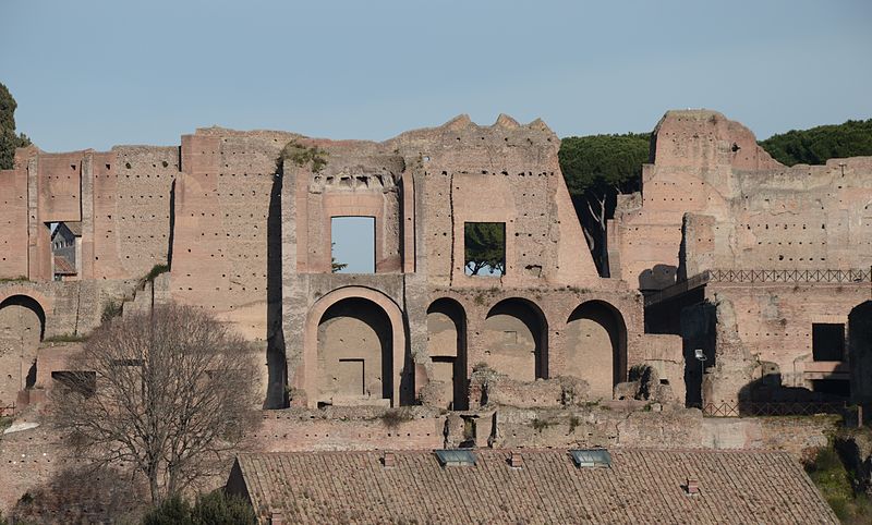 File:Ruins of the Domus Augustana on Palatine Hill..jpg