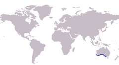 S. bassensis distribution map.png