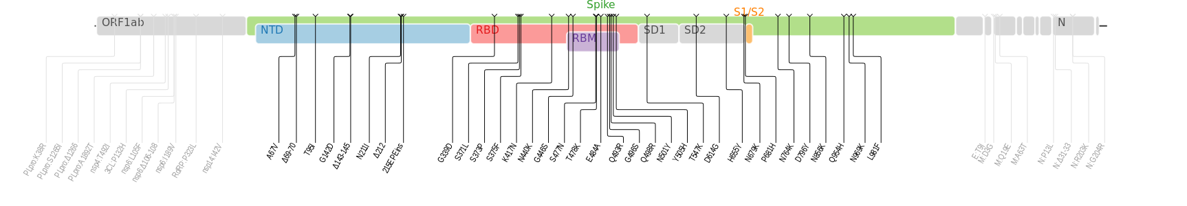 Omicron變異株的基因組序列如上圖所示