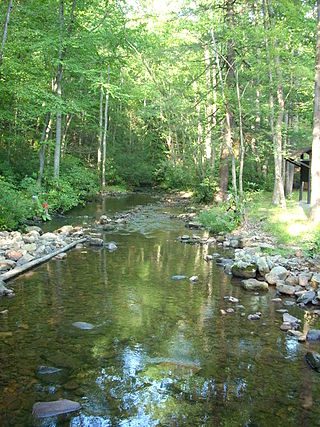 <span class="mw-page-title-main">Lewis Township, Union County, Pennsylvania</span> Township in Pennsylvania, United States