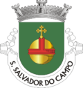 São Salvador do Campo arması