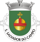 Coat of arms of São Salvador do Campo