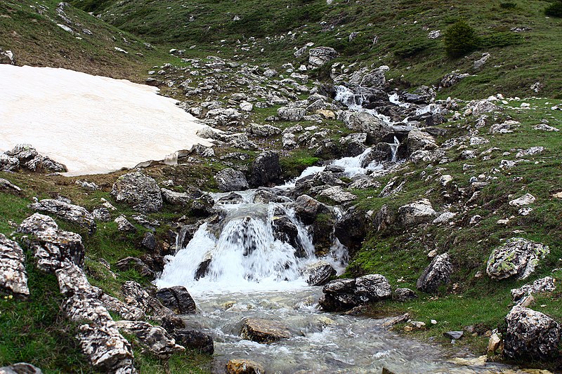 File:Sar Planina Maj 2010 (128).jpg