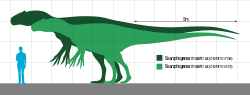Thumbnail for File:Saurophaganax Scale.svg