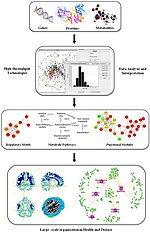 Sistemen biologia-en irudi txikia