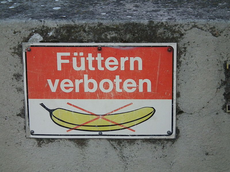 File:Schild Füttern verboten.JPG