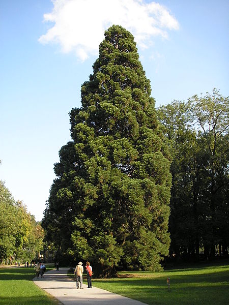 File:Schlosspark Pötzleinsdorf Vienna Sept. 2006.jpg