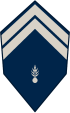 Senegal-Gendarmerie-OR-5.svg