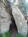 Sequoia National Park - Big Trees Trail - Big Trees Trail - granitic exfoliation