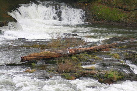 Sieg Wasserfall