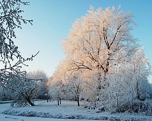 Sneachd