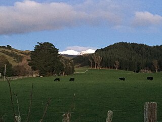 <span class="mw-page-title-main">Makahika</span> Locality in Manawatū-Whanganui, New Zealand