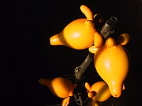 Solanum mammosum