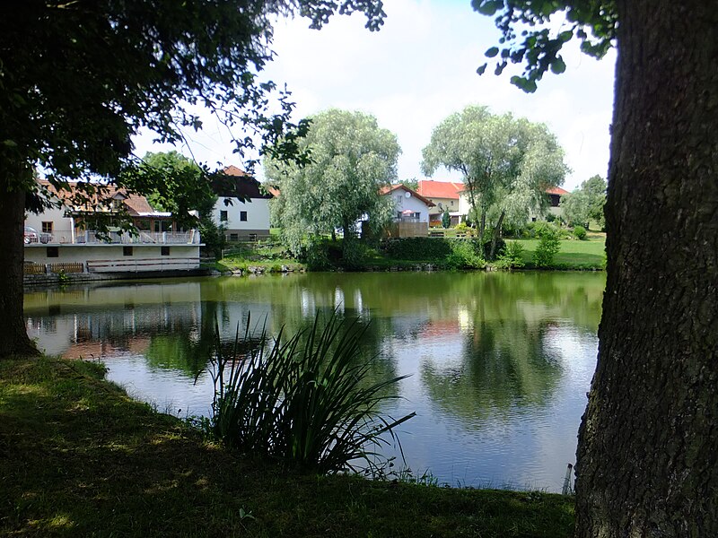 File:Sonnberg (Rainbach im Muehlkreis) 2019-07-02 Teich Bild 02.jpg