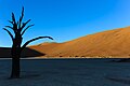 Sossusvlei-3772 - Flickr - Ragnhild & Neil Crawford.jpg