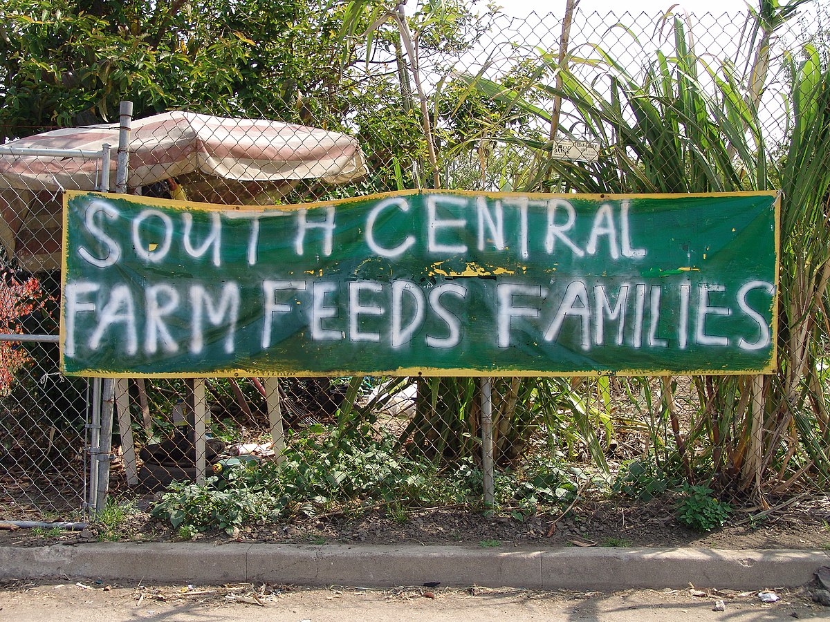 South Central Farm Wikipedia