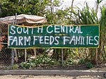 South Central Farm