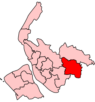 <span class="mw-page-title-main">St Helens South (UK Parliament constituency)</span> Parliamentary constituency in the United Kingdom, 1983–2010