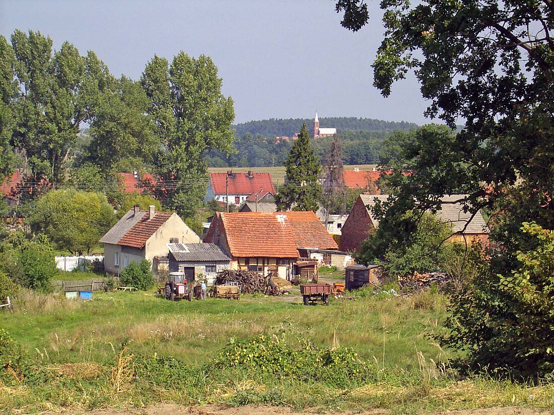 Stęszów, Lower Silesian Voivodeship