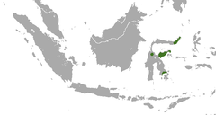 Sulawesi Palm Civet area.png