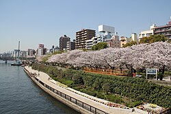 Park Sumida