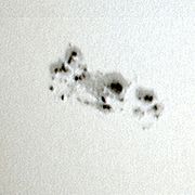 a large sunspot group in 2004