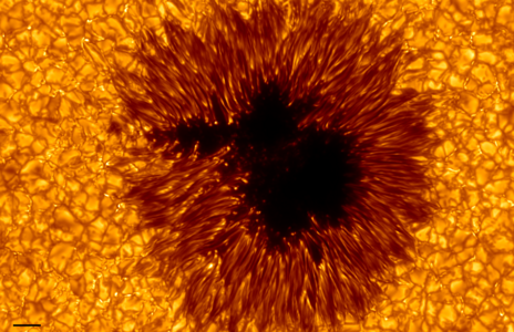 Detailed view of a sunspot and surrounding solar surface. The dense pattern of cells (unrelated to the sunspot) is granulation; the individual cells are granules.