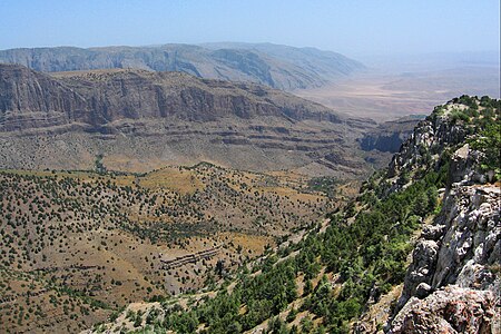 3. Surkhan State Nature Reserve author - Umarov Laziz (Xattakus)