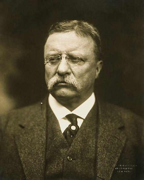 Skeda:T Roosevelt.jpg