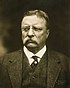 T.Roosevelt.jpg