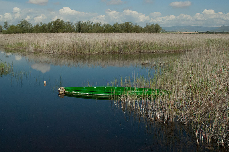 File:Tablas de Daimiel, Ciudad Real 09.jpg