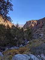 Tahquitz Canyon