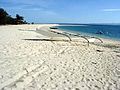 White Beaches in Dasol