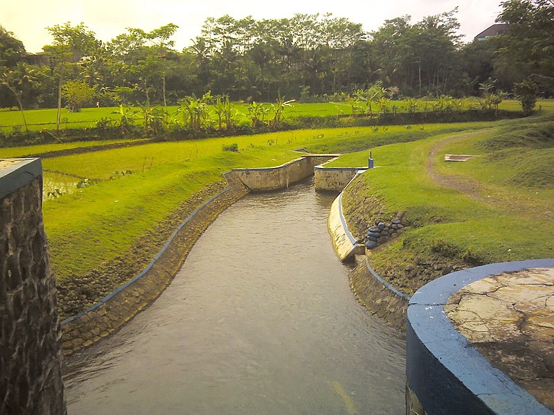 File:Tanjlig Sungai Kranji, Purwokerto.jpg