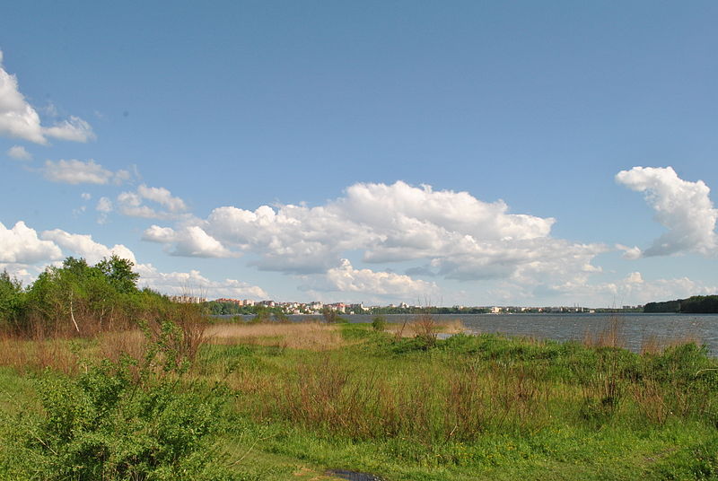 File:Ternopil-stav-14056695.jpg