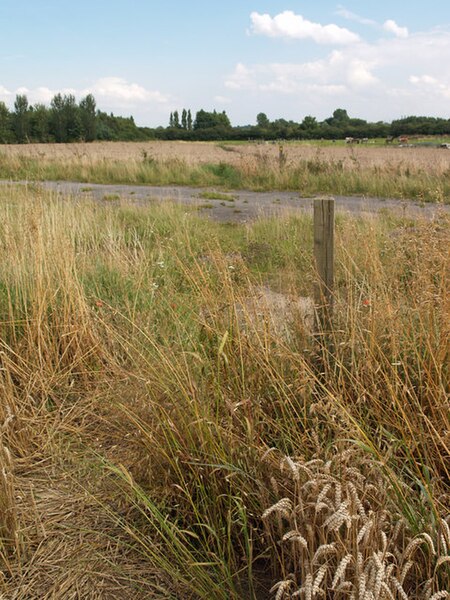 File:The Public Footpath towards Chapel Field Road - geograph.org.uk - 923259.jpg