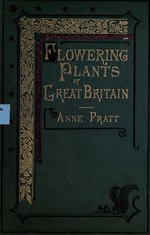 Thumbnail for File:The flowering plants, grasses, sedges, and ferns of Great Britain, and their allies, the club mosses, pepperworts and horsetails (IA floweringplantsg01pratiala).pdf