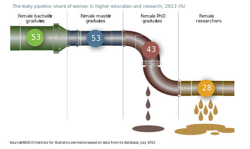 The leaky pipeline, share of women in higher education and research, 2013