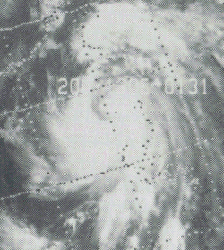 7月24日的颱風黛瑪