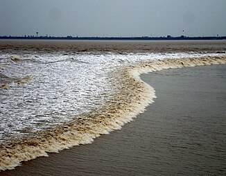 Tidal wave "Silver Dragon" in Hangzhou